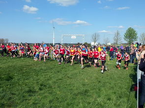 爱游戏体育app-青少年体育锻炼促进策略与实践，青少年体育锻炼方案