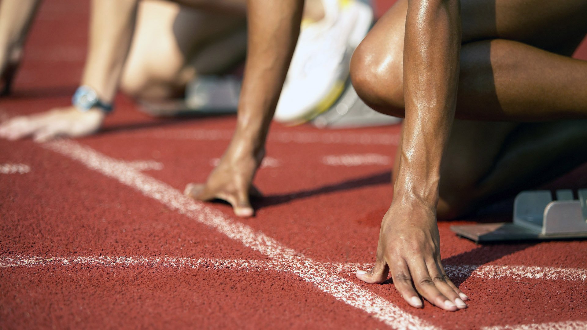 【世界冠军风采】他们的成功之路与未来展望，世界冠军背后的艰辛