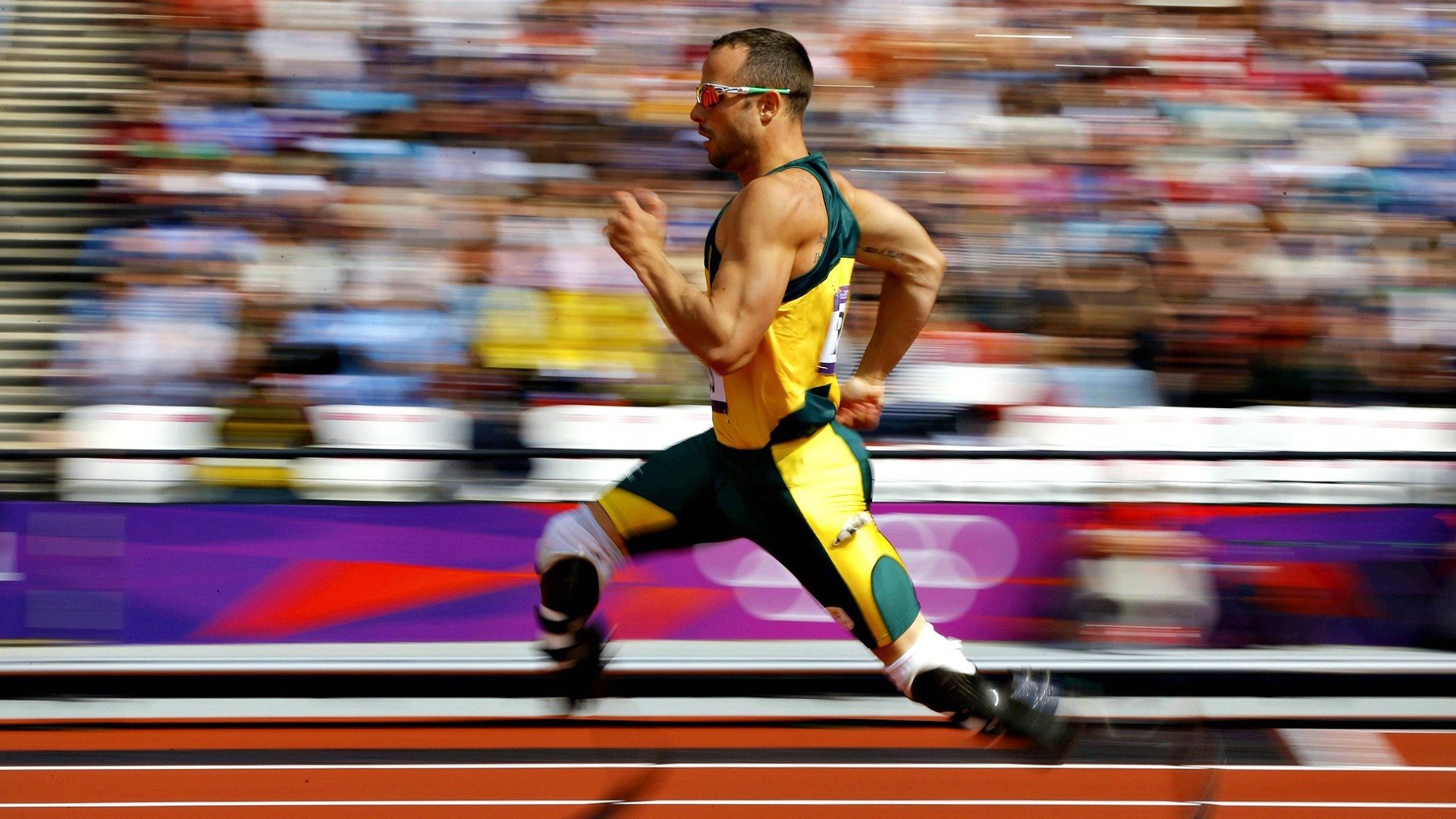 足球场地环境改善,硬件设施全面升级,足球场地建设方案